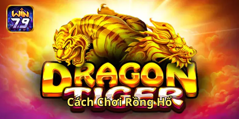 Cách Chơi Rồng Hổ có dễ không?